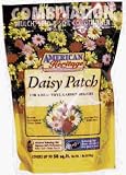 LB Daisy FLWR Mix