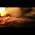 Video of Terry Goodkind