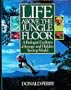 Life Above the Jungle Floor