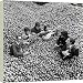 Box Canvas Print of British Pop Music - The 1960s - The Applejacks - Hereford - 1964 from PA Photos