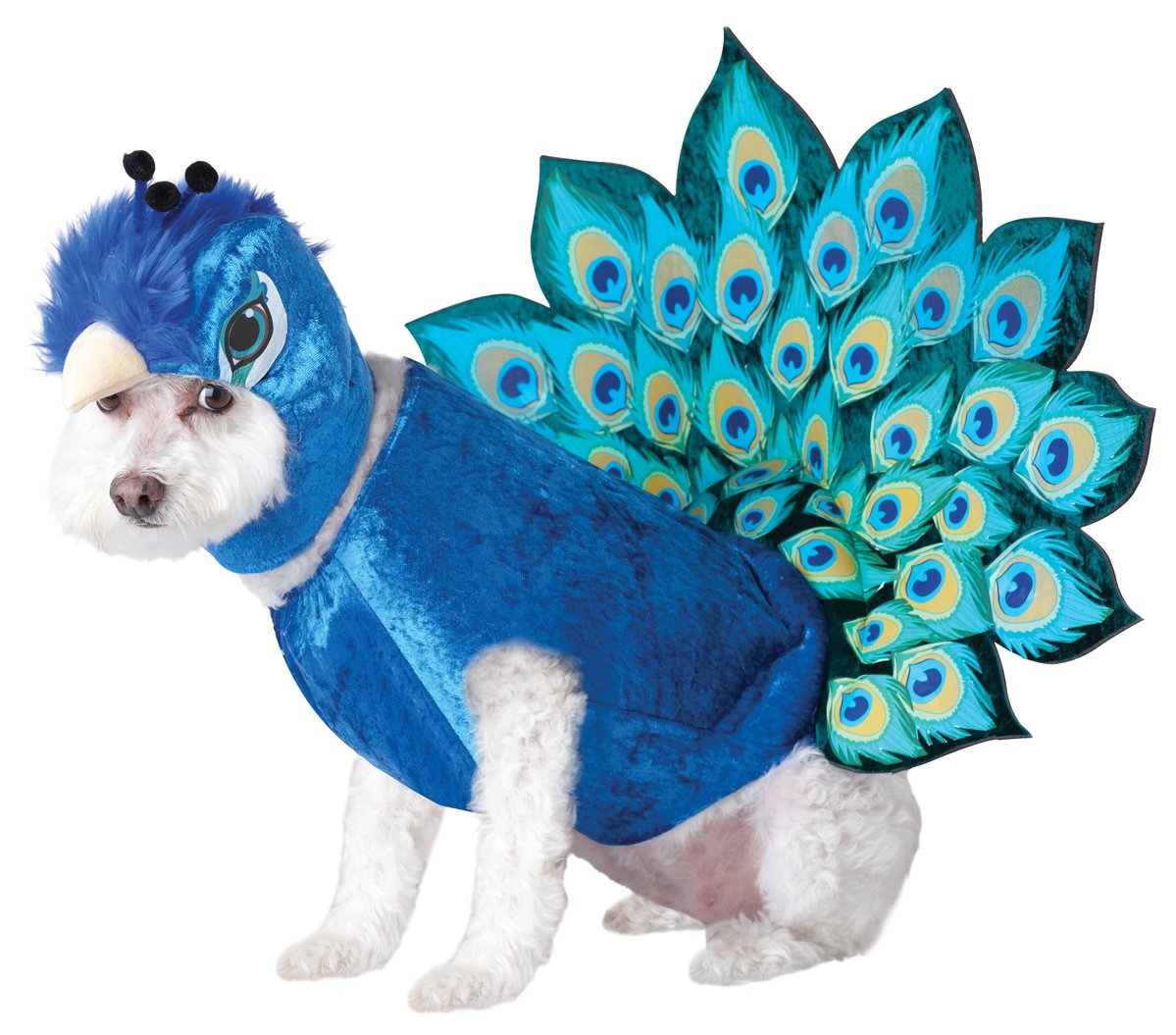 7 Cute Large Dog Halloween Costumes For Girl Dogs