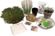 Water Plant Adaptions Science Fair Kit