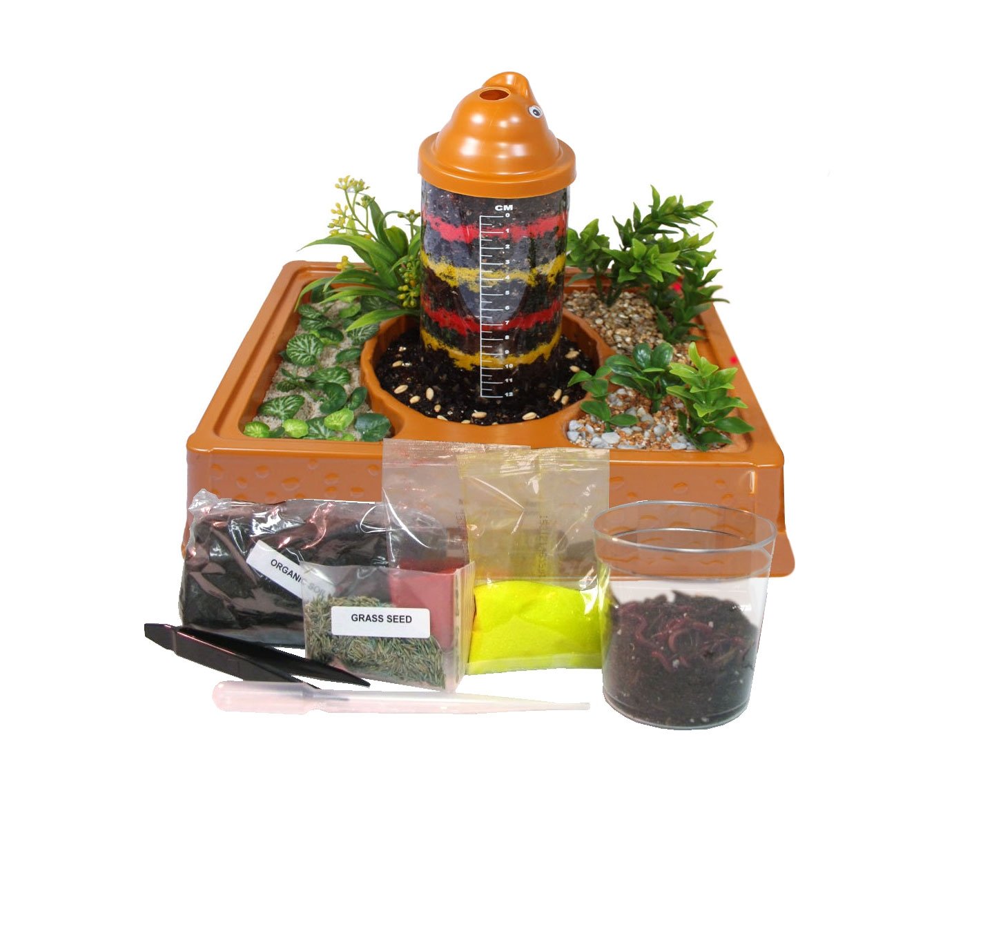 Observation Worm Farm Kit for Kids with LIVE Worms Sent NOW. See Worms