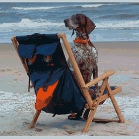 Backpack Wood Chair