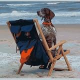 Backpack Chair - Navy Blue