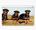 rottweiler27  - Animal Kingdom Rottweilers Guard Dogs Decorative Protector Skin