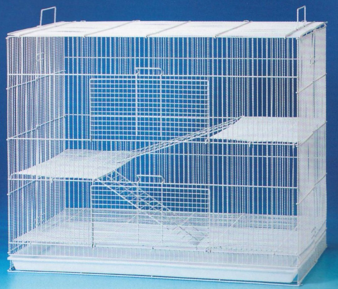 Cheap Sugar Glider Cages