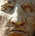 Crazy Horse
