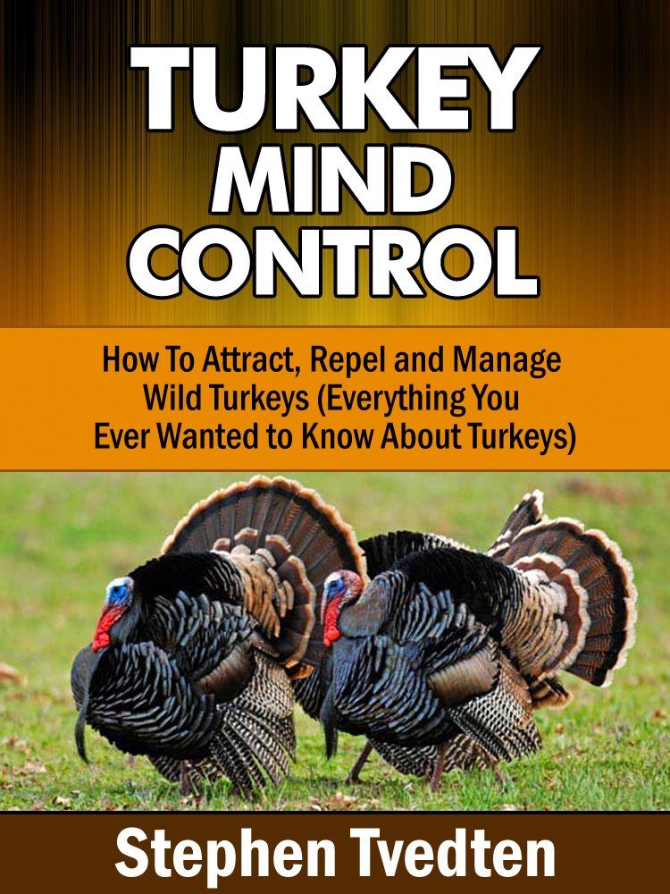 Amazon.com: Stephen Tvedten: Books, Biography, Blog, Audiobooks ...