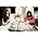 Vignette de Angus and Julia Stone