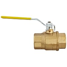 Dixon FBV100 Brass Ball Valve, 1" NPT Female