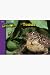 TOADS I USED TO BE AFRAID OF SERIES GR K-3