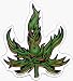 Tribal Marijuana Pot Leaf - Sticker / Decal