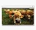 Animal Kingdom Cow Decorative Protector Skin Decal Sticker for Nintendo DS Lite