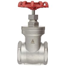 Dixon SSGV200 Stainless Steel 316 Gate Valve, 2" NPT Female