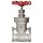 Dixon SSGV200 Stainless Steel 316 Gate Valve, 2" NPT Female