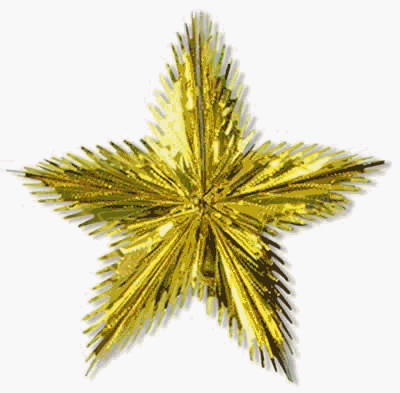 Beistle - 50504-GD - Leaf Starburst- Pack of 12