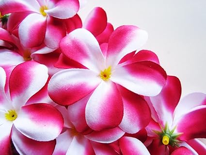Hot pink silk wedding flowers wholesale
