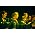 Thumbnail image of London Philharmonic Orchestra