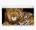 Animal Kingdom Lion Tiger Couple Decorative Protector Skin Decal Sticker for Nintendo...