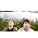Miniaturansicht von Kings of Convenience