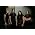 Vignette de Kataklysm