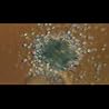 Artist Video