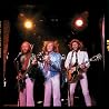 Image of Bee Gees