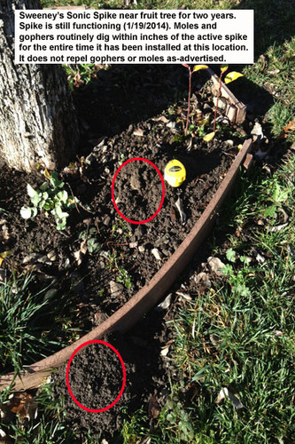 gopher twin pack sonic spikes how to get rid of gum disease how to get