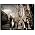 Thumbnail image of The Kooks