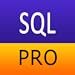 SQL Pro Quick Guide