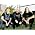Vignette de Dying Fetus