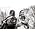 Thumbnail image of Steve Earle