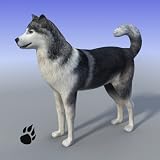 Snow Dog Survival Simulator
