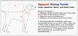 Casual Canine Piggy Pooch - XLARGE