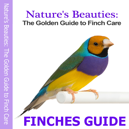 Finches Guide! Finches Guide!