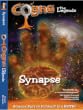 The Legends - Synapse