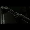 Video of Interpol
