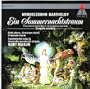 Midsummer Nights Dream