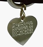 Pet Supplies : Brass Heart Dog ID Tag - Both Sides Engraved (Font=Rockwell 5 Line,Attachment=s-hook)