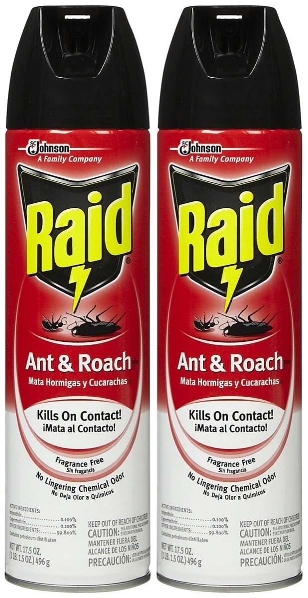 Amazon.com: Raid 11717 Ant & Roach Killer: Patio, Lawn & Garden