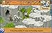 The Island: Castaway® Free