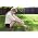 Thumbnail image of Taylor Swift