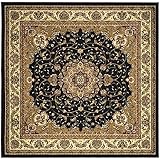 Safavieh Lyndhurst Collection LNH329A Black and Ivory Square Area Rug, 6 feet Square (6' Square)