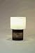 Elegant Decor 1056116 Desk Lamp - Hors Doeuvres Finish - 2 Pack