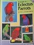 A Guide to Eclectus Parrots as Pet and Aviary Birds
