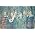 Thumbnail image of Of Monsters And Men