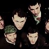 Image of Infamous Stringdusters