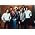 Vignette de Dr. Hook & the Medicine Show