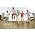 Thumbnail image of One Direction